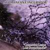 Atom Infant Incubator - Quantum Leaps Lost Soundtracks